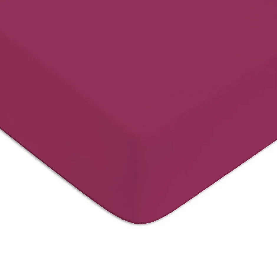 Future Home Drap housse en coton 57 fils uni bonnet 25cm 80x200cm