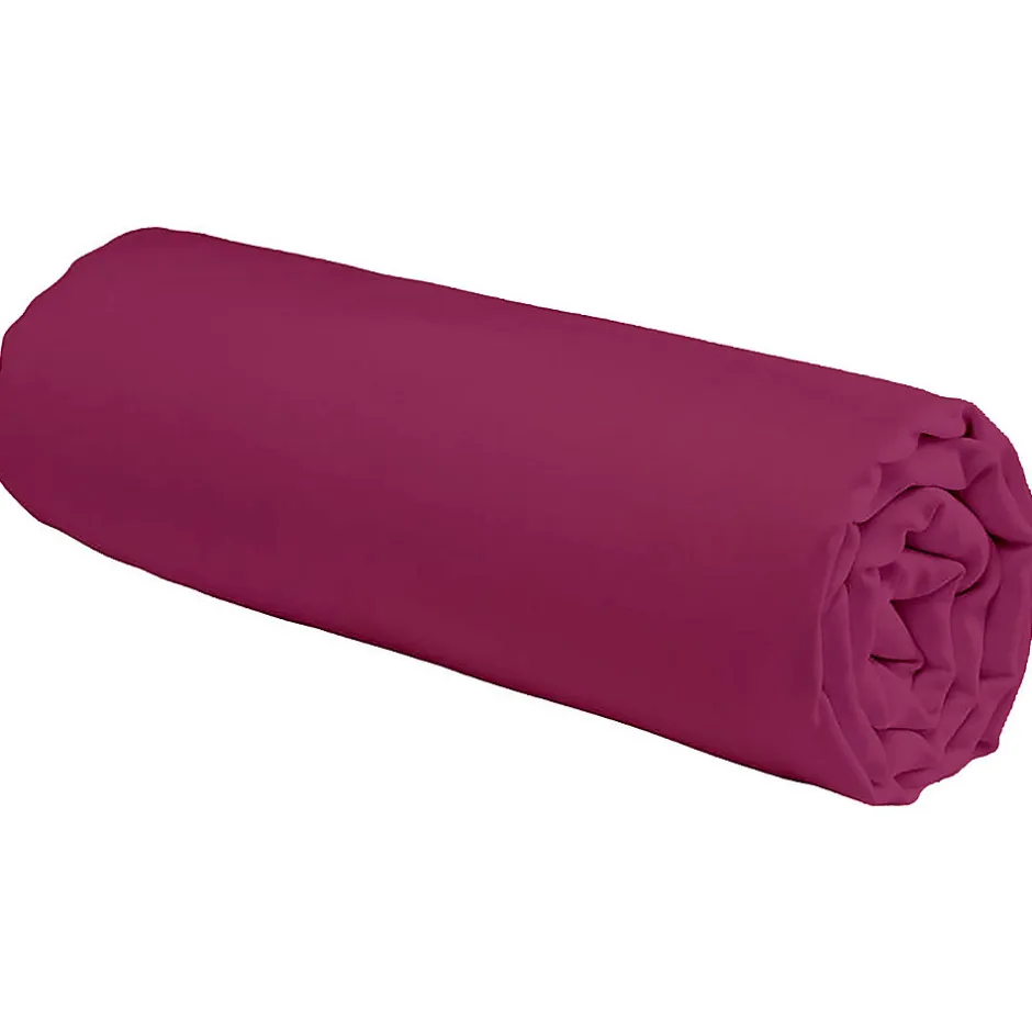 Future Home Drap housse en coton 57 fils uni bonnet 25cm 80x200cm
