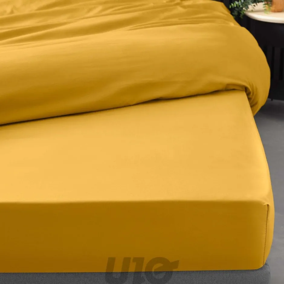 Douceur D'Intérieur Drap Housse Percale Bonnet 30 Cm 200x160cm jaune Clearance
