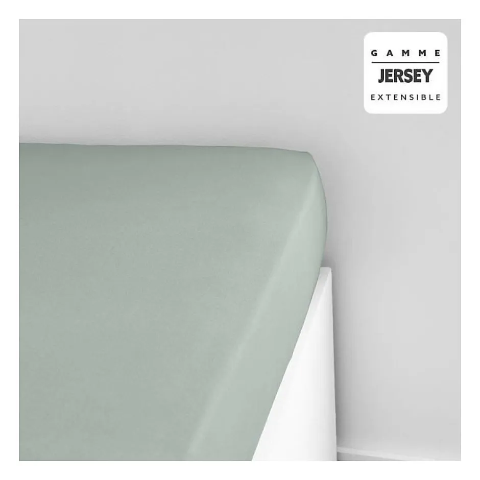 Todays Tools Drap housse TODAY Essential - 140 x 190+25 cm - 1 personne - 100% Coton jersey - Celadon Hot