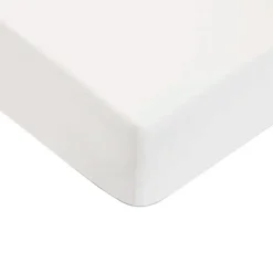 Future Home Drap housse uni en coton 57 fils 90x190cm