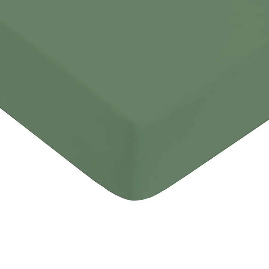 Future Home Drap housse uni en coton 57 fils 160x200cm