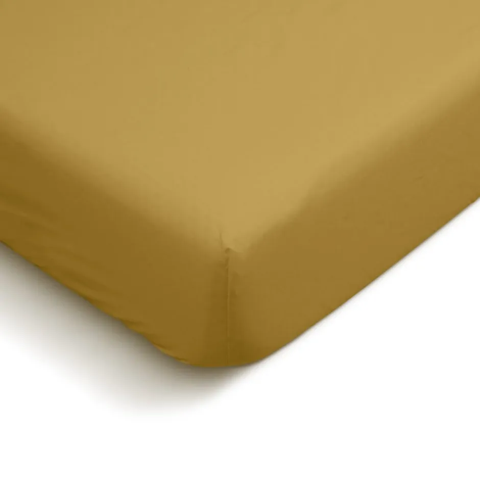 Bleu Calin Drap Housse uni 90x190cm PERCALE MOUTARDE Best