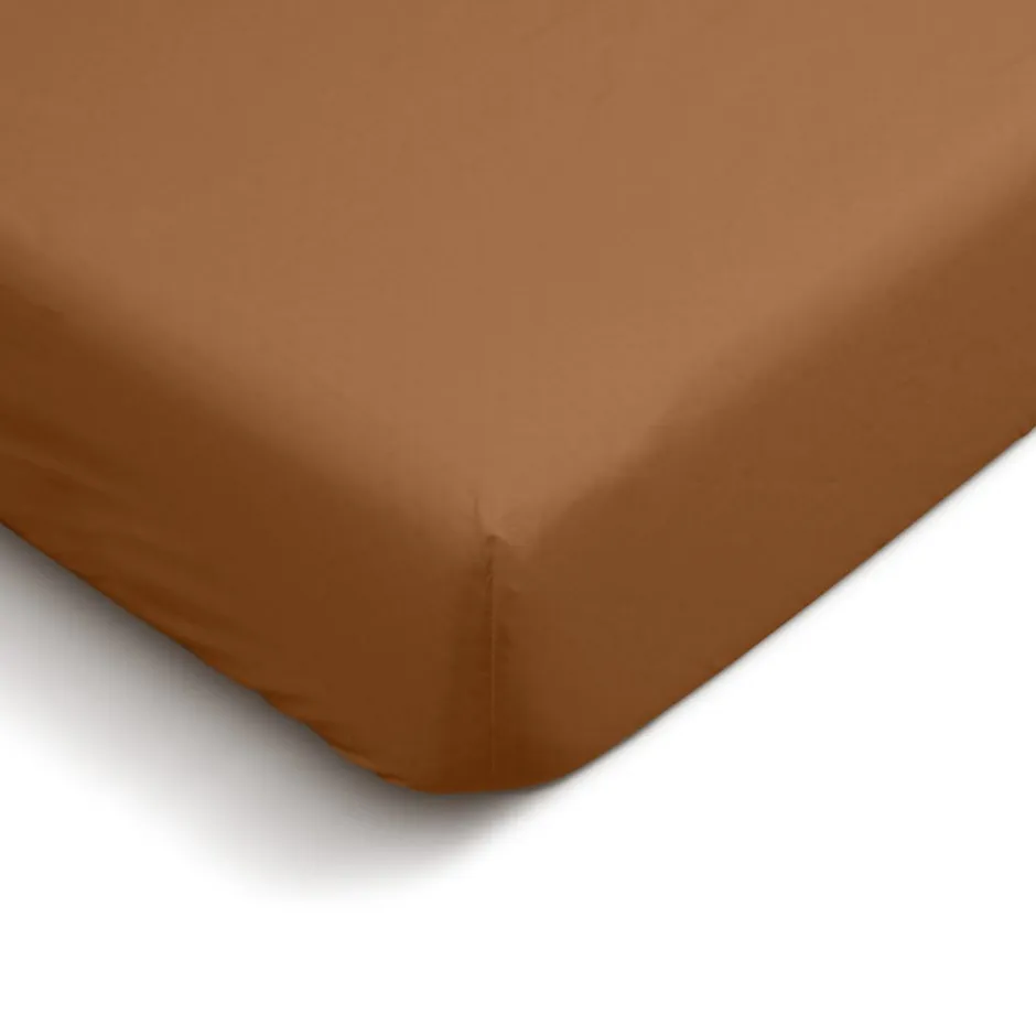 Bleu Calin Drap Housse uni 180x200cm PERCALE TERRACOTTA