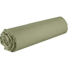 Housse De Rêve Drap housse 140x190 +35 cm Coton 57 fils Verveine Hot
