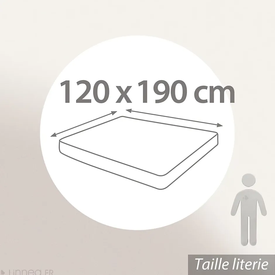 Linnea Drap housse 120x190 cm bonnet 30 coton ÉVASION Vert fougère New