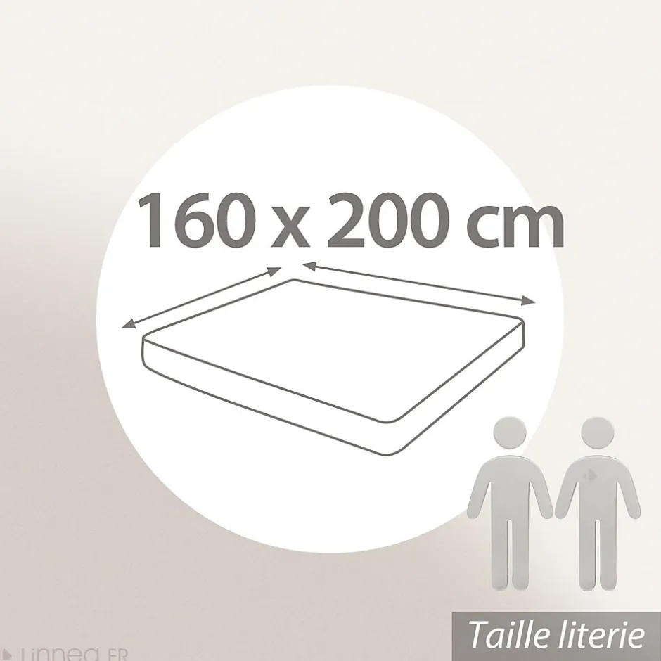 Linnea Drap housse 160x200 cm bonnet 30 cm percale de coton PASSION PERCALE bleu Cobalt