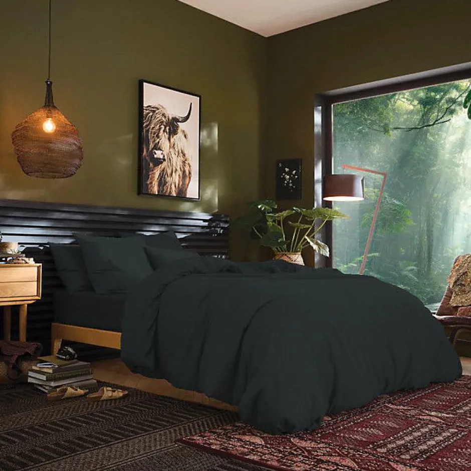 Coton Pur Drap plat Prémium 240 x 300 cm Marron coton
