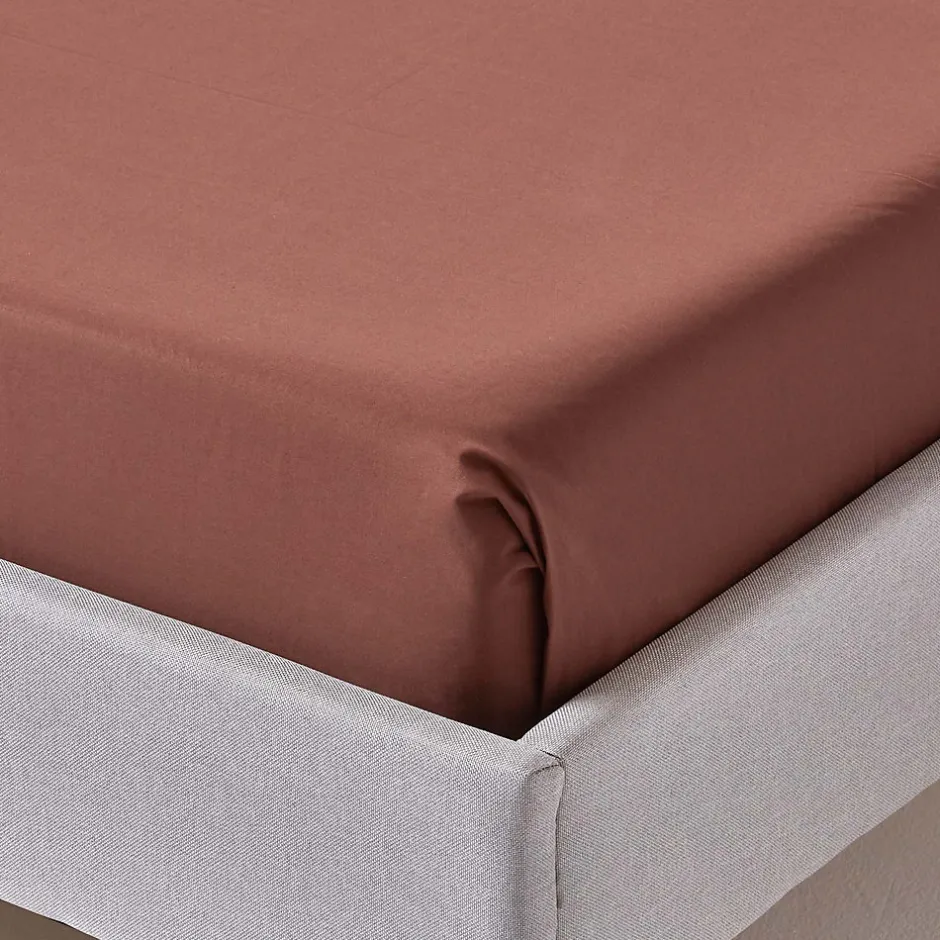 Homescapes Drap plat uni 100 % coton égyptien 200 fils marron chocolat, 270x300 cm -
