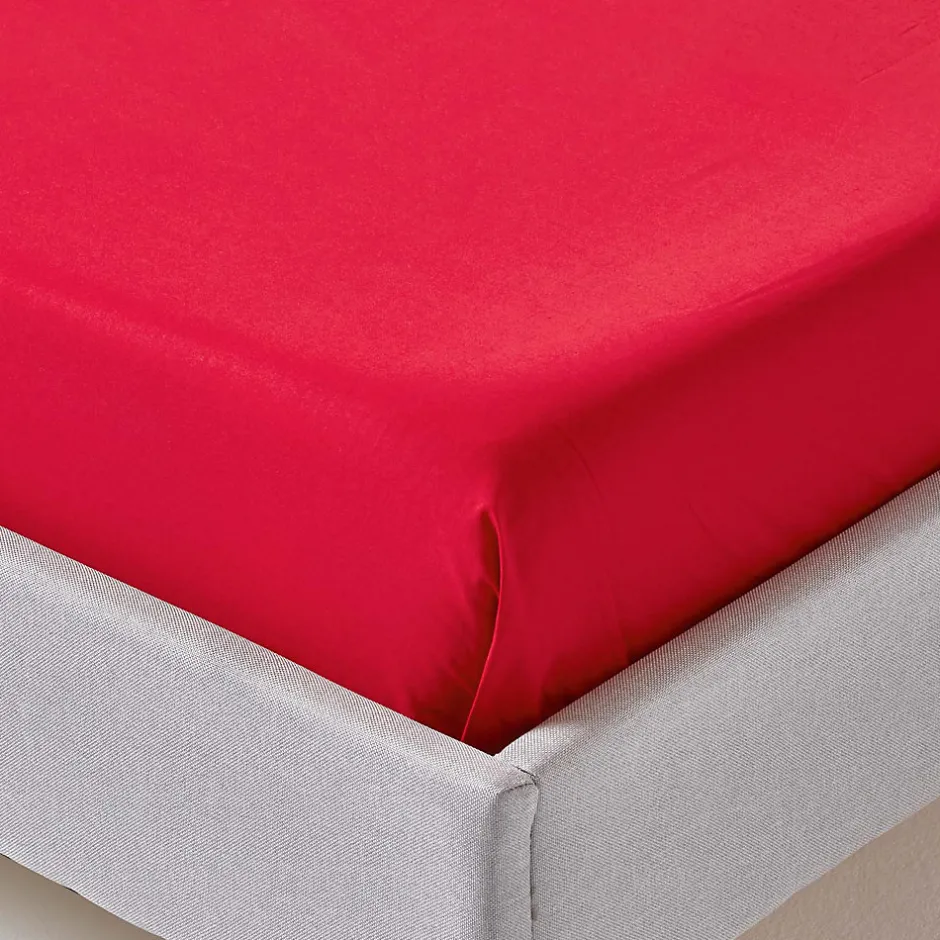Homescapes Drap plat uni 100 % coton égyptien 200 fils rouge, 270x300 cm -