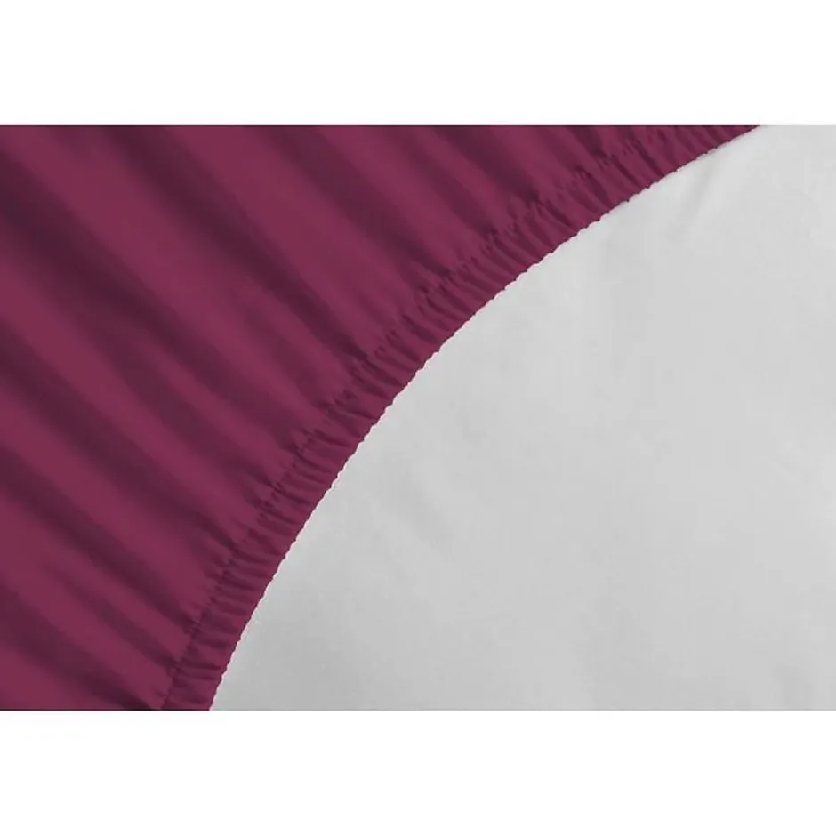 Lovely Home Drap-housse - - LH71615 - 160x200+25 cm - Fuchsia Best