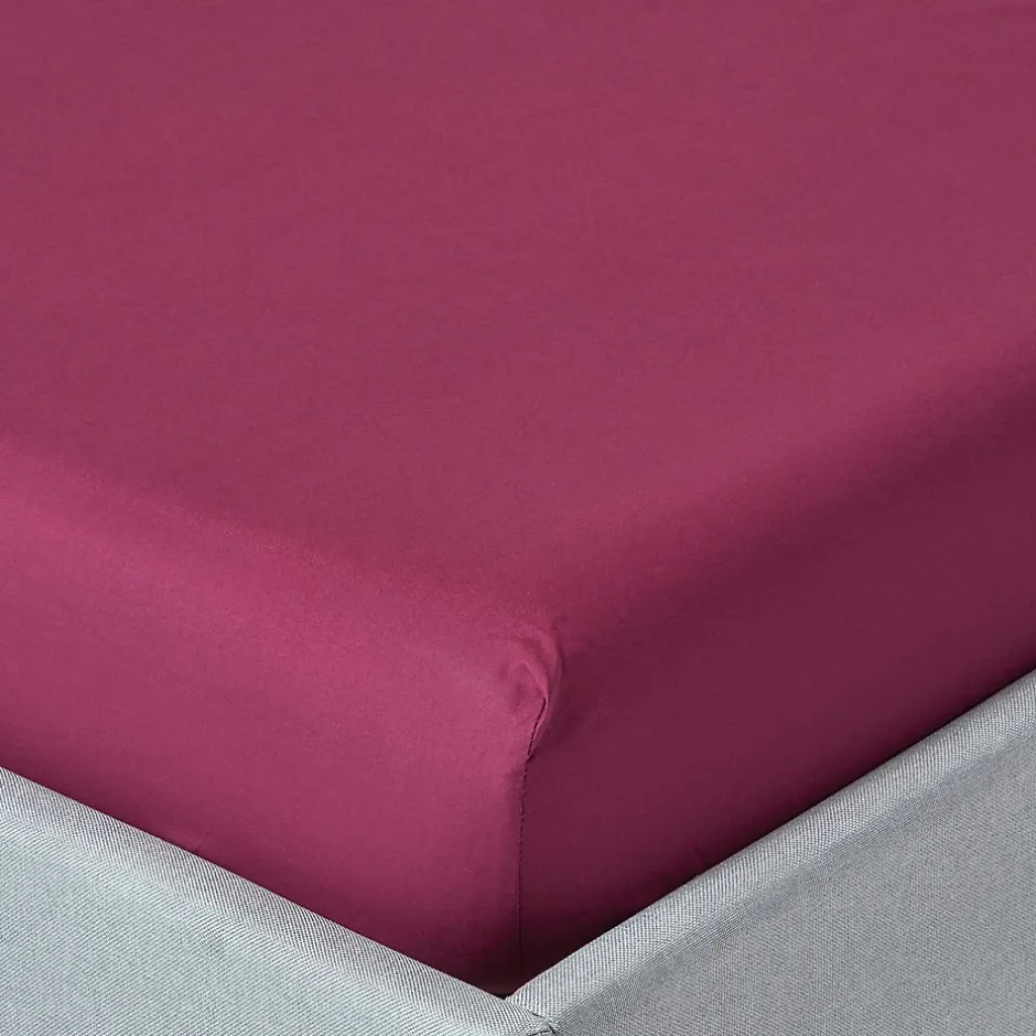 Homescapes Drap-housse prune 100% coton égyptien 200 fils 90 x 190 cm - Sale