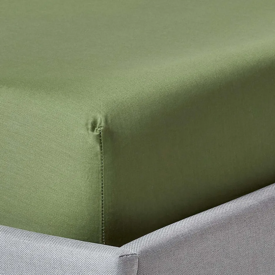 Homescapes Drap-housse uni 100 % coton égyptien biologique 400 fils vert mousse 90 x 190 cm -