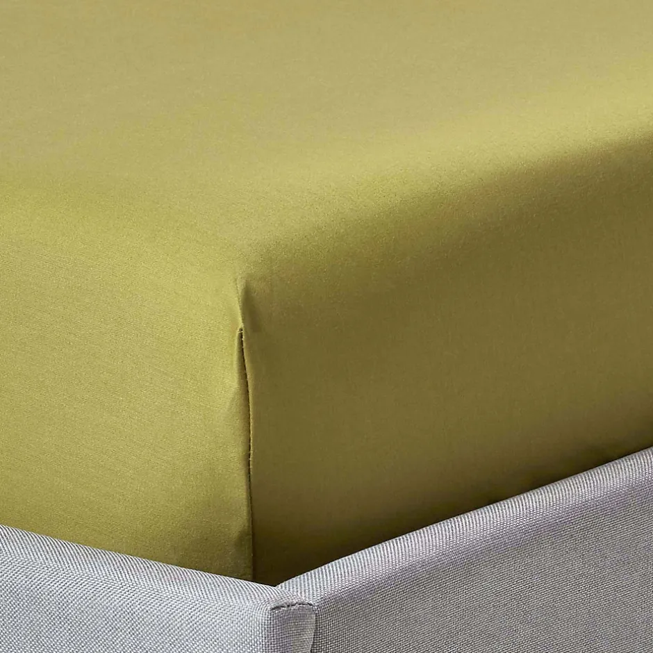 Homescapes Drap-housse uni grand bonnet 100 % coton égyptien 1000 fils vert olive 90 x 190 cm - Sale