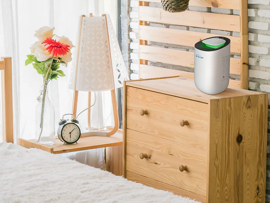 Pureline Déshumidificateur 21W avec lumière LED pour des petites surfaces