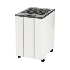 Wood's Déshumidificateur LD40 13L/J blanc