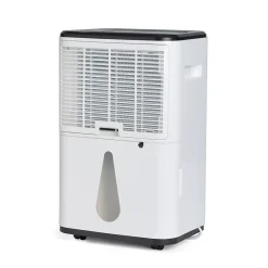 Wood's Déshumidificateur MDX20P 20L/J Online