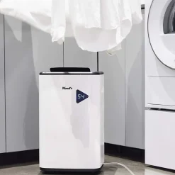 Wood's Déshumidificateur MDX20P 20L/J Online