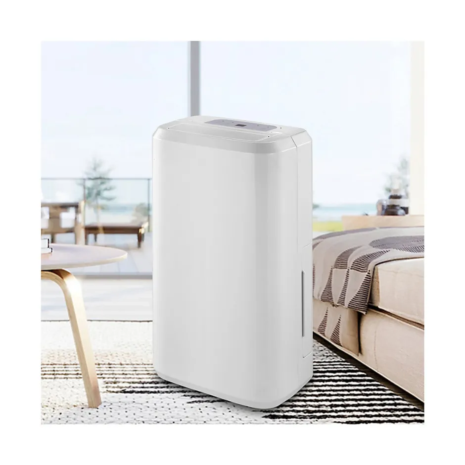 Déshumidificateur D002A 10L/J pour pièce de 18 à 20 m²