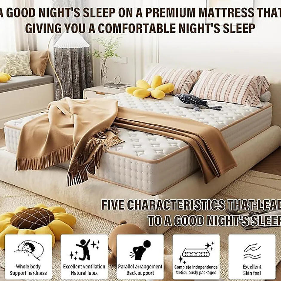 Teeno Ensemble Matelas en mousse + Sommier à Lattes 160x200cm, Epaisseur du Matelas 18 cm Best
