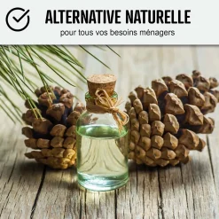 Arcane Industries Essence de térébenthine pure gemme bois : TEREBENTHINE 101 - 1 L - Sale