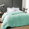 Linder Housse de Couette Unie en Lin (240x220 cm - Vert d'eau)
