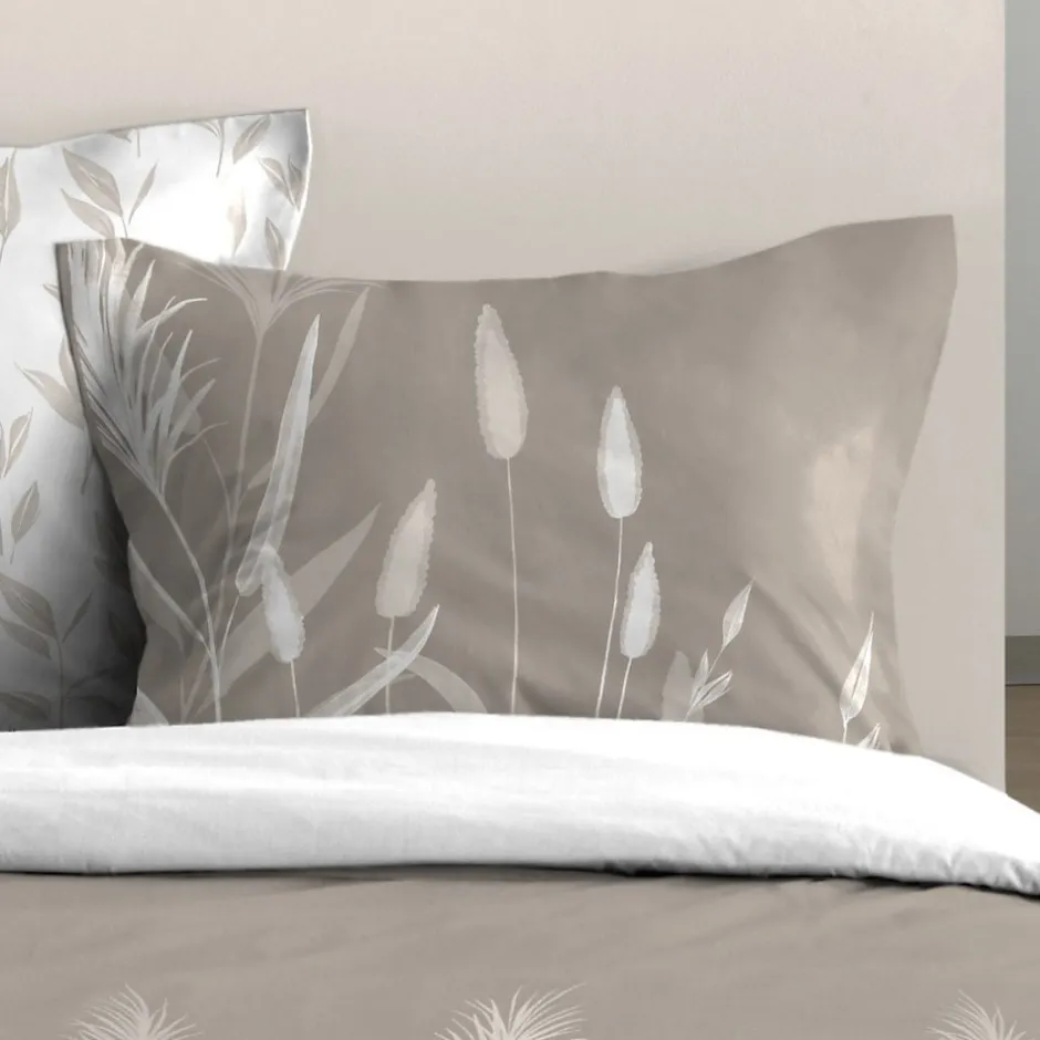 STOF Housse de couette 260x240 PAMPA + 2 taies coton 57 fils Best