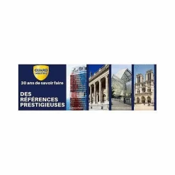 Guard Industrie Imperméabilisant Antitache Tissu TEXGUARD aérosol 400ml Aérosols Cuir Velours Hydrofuge Invisible Canapé Tapis Rideau Moquette Outlet