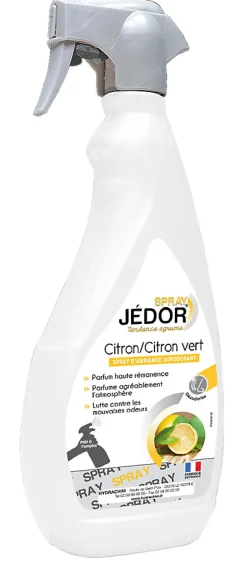Le Plus De L'Entretien Jedor Spray Surodorant 500ml Parfum Citron Vert - Lot de 2