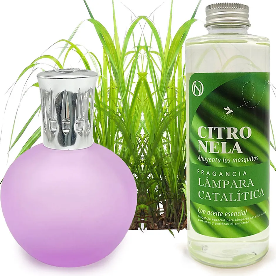 Mamamanuela Lampe catalytique Fuchsia Mat + Parfum Citronnelle 500 ml - Élimine les mauvaises odeurs, parfume et améliore la qualité de l'air