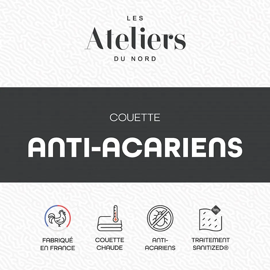 Ateliers Du Nord Les - Couette Chaude Anti-acariens 240x260cm