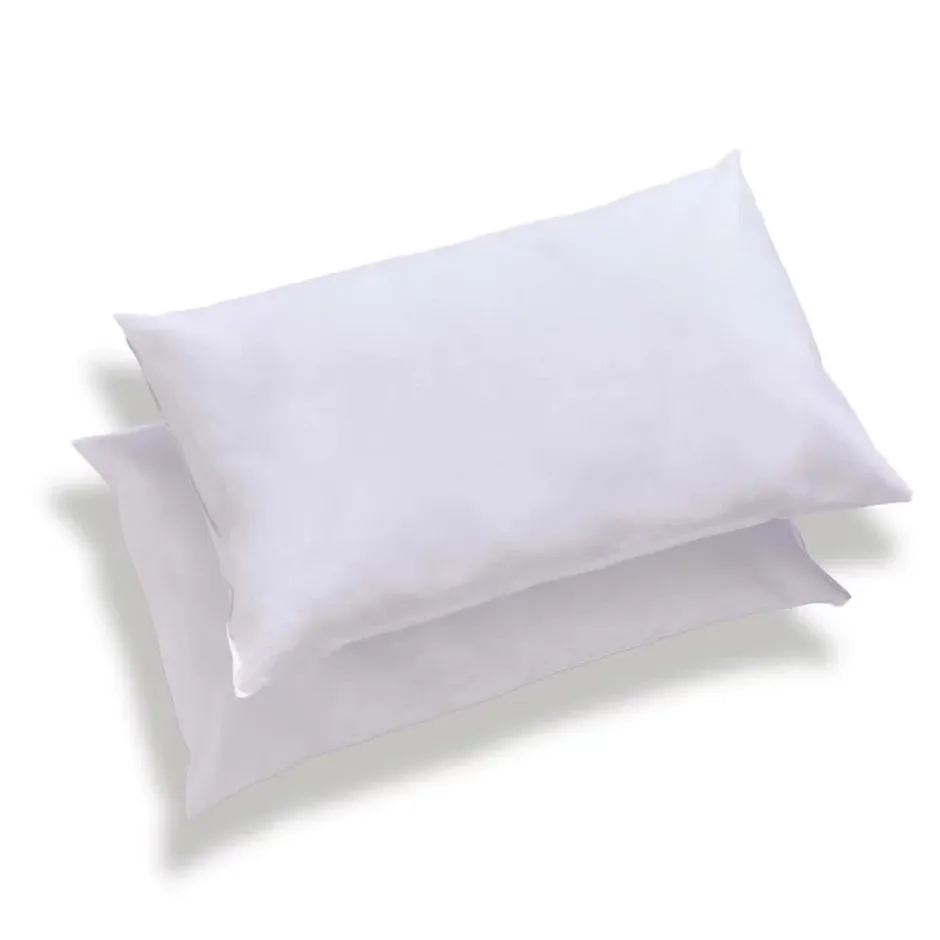 Ateliers Du Nord Les - Lot de 2 oreillers moelleux Anti-acariens 45x70cm