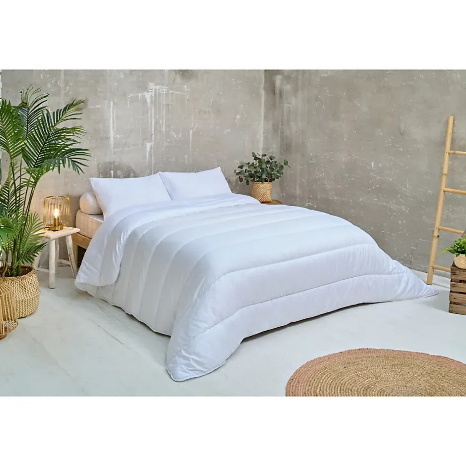 Ateliers Du Nord Les - Lot de 2 oreillers moelleux Anti-acariens 45x70cm