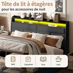Simple Life Lit Coffre 160x200 Avec Sommier Et USB, LED, Cadre De Lit Avec Rangement Et Tete De Lit, Noir