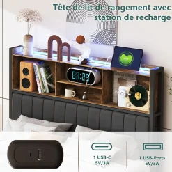 ProximaX Lit Coffre 160x200 cm avec sommier à lattes, LED, 2 tiroirs, tête de lit capitonnée en PU, cadre métallique robuste