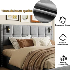 Simple Life Lit coffre 160x200 cm avec sommier à lattes, lit rembourré avec port USB et Type-C, LED, velours, gris Best