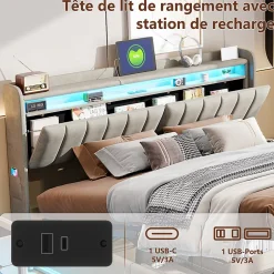 Simple Life Lit Coffre 160x200 cm Velours Gris, LED, Charge USB, Rembourré, Rangement, Tête de lit, Sommier à Lattes, 2 Personnes Best