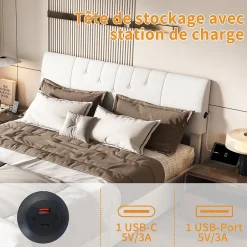 Fortuna lai Lit coffre 140x190cm avec compartiments de rangement et prise électrique ,tête de lit réglable