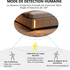 Fortuna lai Lit Coffre 160x200cm, Cadre De Lit Rembourré Avec Éclairage LED Et Sommier à Lattes, Velours Beige