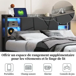 Fortuna lai Lit Double 160x200 Métal, Cadre de lit avec éclairage LED et Charge USB, Lit Double rembourré avec 2 tiroirs, Noir