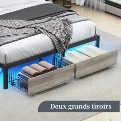 Fortuna lai Lit Double 160x200 Métal, Cadre de lit avec éclairage LED et Charge USB, Lit Double rembourré avec 2 tiroirs, Noir