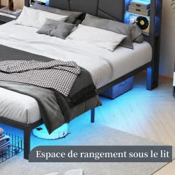Fortuna lai Lit Double 160x200 Métal, Cadre de lit avec éclairage LED et Charge USB, Lit Double rembourré avec 2 tiroirs, Noir