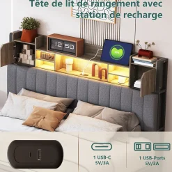 Fortuna lai Lit 160x200 avec Sommier LED et USB, Lit Coffre avec 4 Tiroirs et Rangement Tête Delit, Gris