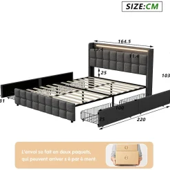 ProximaX Lit 160x200 cm en lin gris avec 4 tiroirs, tête de lit LED avec prises USB intégrées, Grand rangement et design élégant