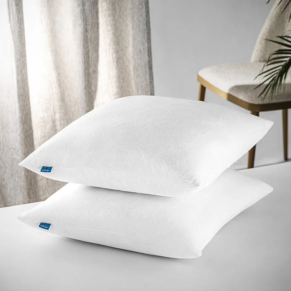 Naturalex Lot 2 Oreillers 60x60 cm - Tissu Doux Aloe-Vera - Rembourrage copeaux de mousse HR - Mantien Souple