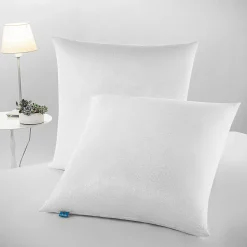 Naturalex Lot 2 Oreillers 60x60 cm - Tissu Doux Aloe-Vera - Rembourrage copeaux de mousse HR - Mantien Souple
