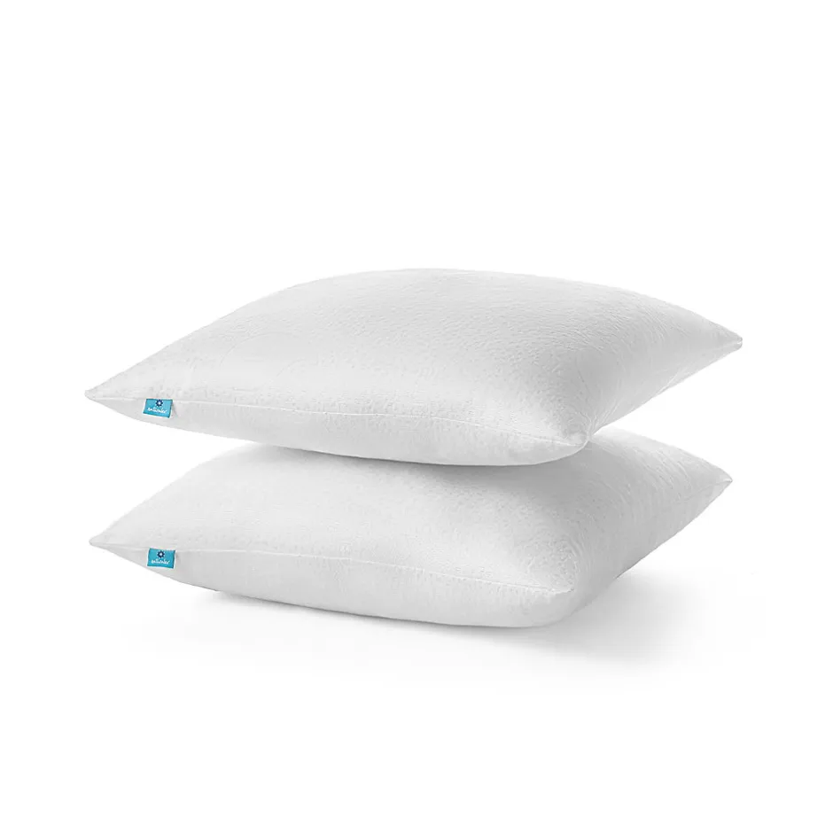 Naturalex Lot 2 Oreillers 60x60 cm - Tissu Doux Aloe-Vera - Rembourrage copeaux de mousse HR - Mantien Souple