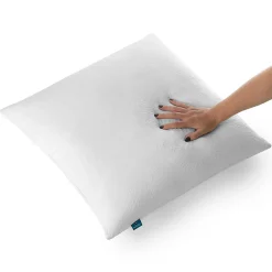 Naturalex Lot 2 Oreillers 60x60 cm - Tissu Doux Aloe-Vera - Rembourrage copeaux de mousse HR - Mantien Souple