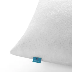 Naturalex Lot 2 Oreillers 60x60 cm - Tissu Doux Aloe-Vera - Rembourrage copeaux de mousse HR - Mantien Souple