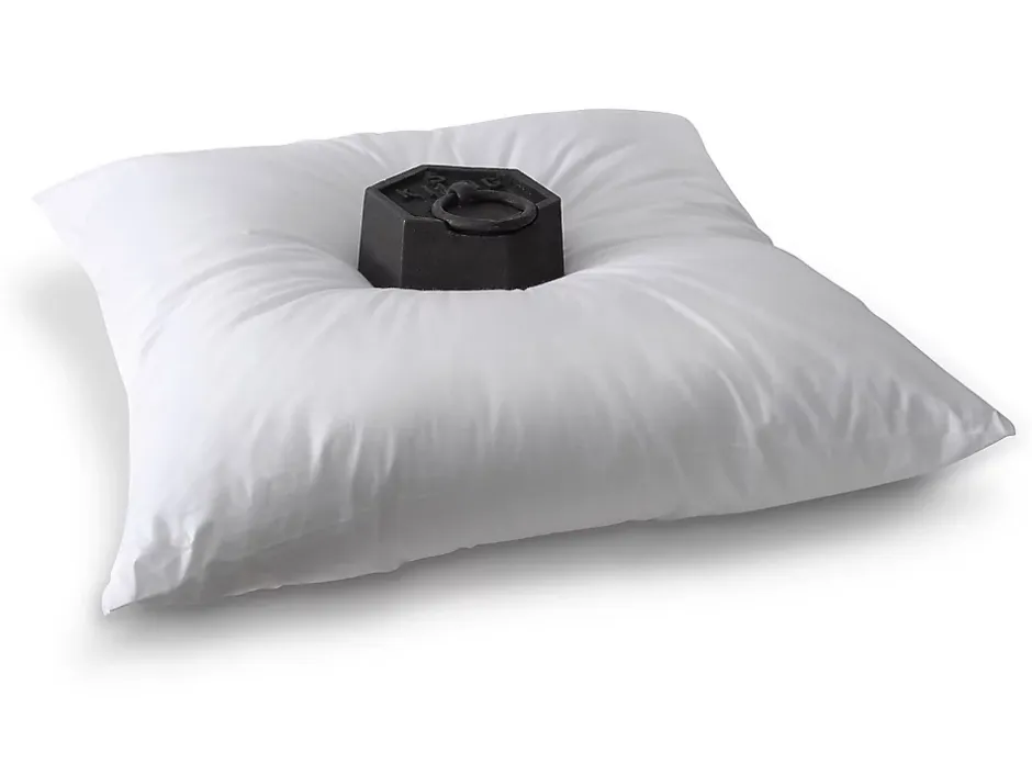 Vente-unique Lot de 2 oreillers - 60 x 60 cm de DREAMEA - 600 gr - MARIN Sale